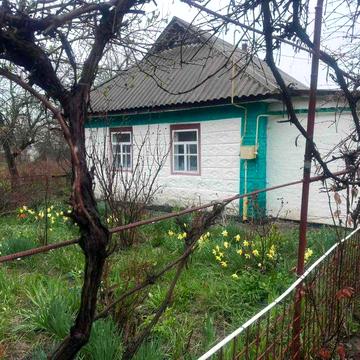 Продаж садиби біля Умані (с. Паланка) — 37 соток із виходом до ставу!