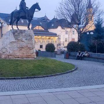 Здається будинок у м.Берегове