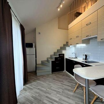 Оренда дворівневої квартири 60 м з терасою, Комфорт Таун, Березняки, Лівобережна