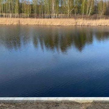 Кийлів.Бориспільський.Продаж.(Дом). Будинок на березі Дніпра з виходом до води!!!
