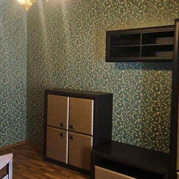 Сдам квартиру в Центре, метро Научная, Динамовская,2