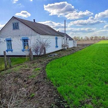 Продаж!!! с.Нова Маківка , Білоцерківський р-н., Київська обл.