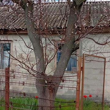 Дача біля води, до пляжу - 200 метрів