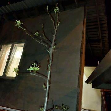 Довгострокова оренда 1к Дім Сергія Данченка вулиця