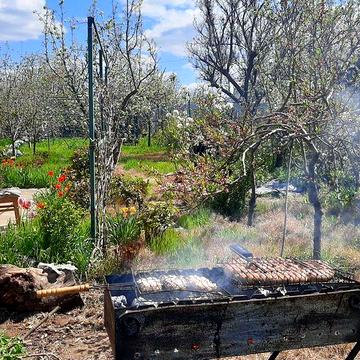 Продам дачу в СВТ Зорька, Широка балка