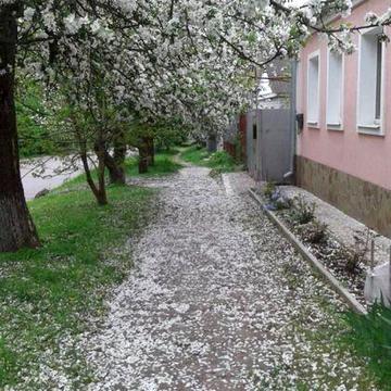 Продам затишний будинок зі свідим ремонтом