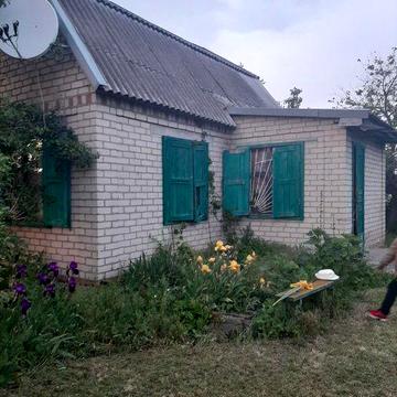 Здам будинок під дачу в с. Куцеволівка.