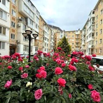 Сдам квартиру. ЖК Новый Люстдорф. Начало Таирова.Газ