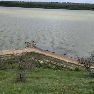 Продаётся уютный дом в живописном уголке на берегу лимана с. Вапнярка