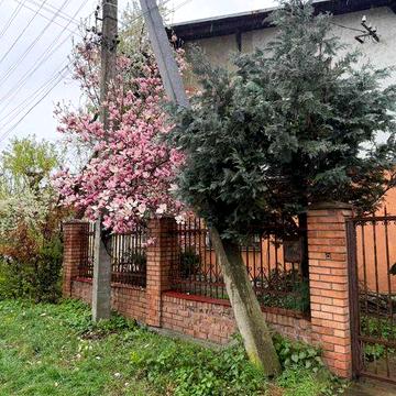 Оренда приватного Будинку  З чудовим розташуванням у спокійному районі по  Вул.Ботанічна (Левандівка)