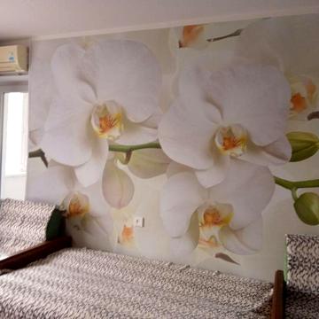 оренда 1 кімнатної квартири ,власник