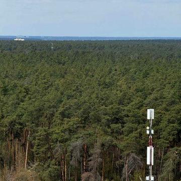 ВПЕРШЕ. Виноградар. пр-кт Гонгадзе 20 А, межує з лісом.