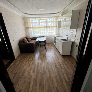 Продам 1-кімнатну квартиру. с.Одая.