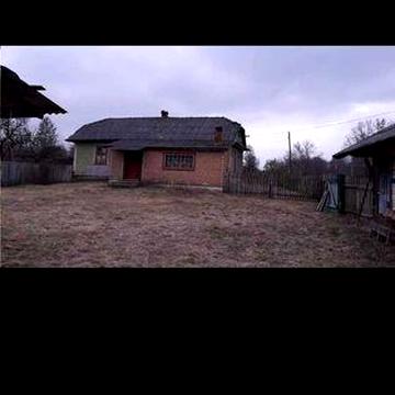 Будинок ліс природа ставок річка гриби чорниці