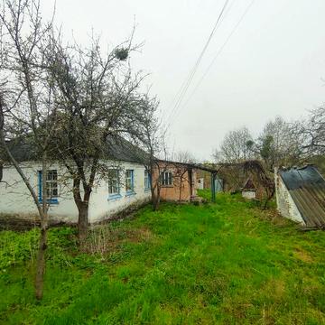Продам будинок в селі Северинівка