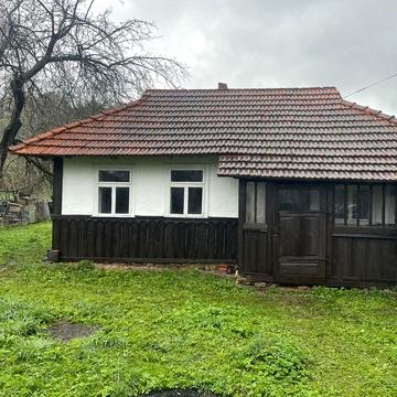 Будинок в Карпатському селищі Микитинці