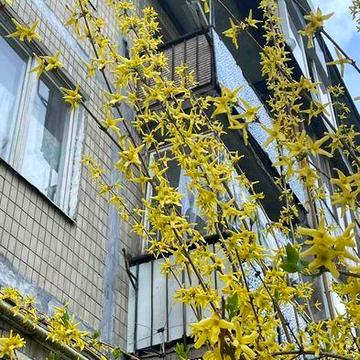 Продаж 2-во кім.кварт. на вул.Виговського 10