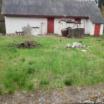 Продам будинок біля лісу.