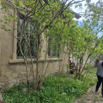 Сдается часть дома в Аркадии