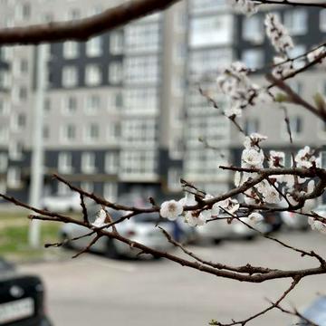 Продажа. 60 м2. Автономное отопление. ЖК Авиатор