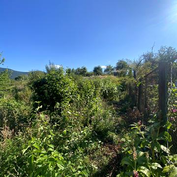 Перечин, Ужгородський, Закарпатська область 10000.0 USD