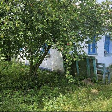 Здається будинок в оренду с. Троїцьке