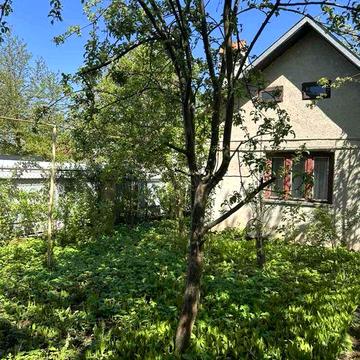 Здається оренда  будинок дача Оброшине  (р-н Ставчани