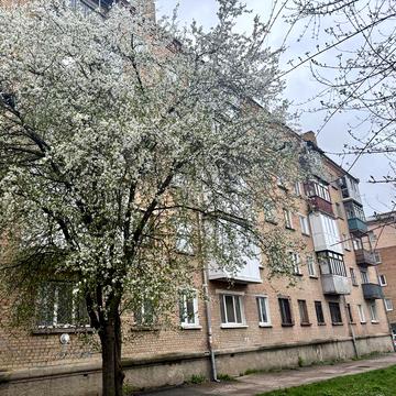 2 х кімнатна квартира, рн базару