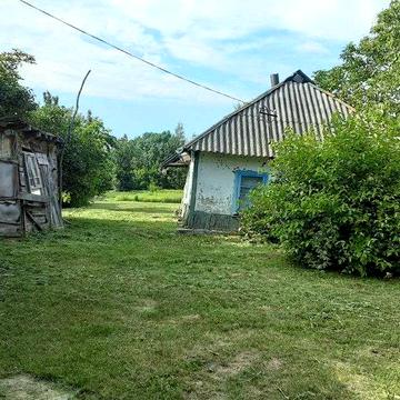 Хата в мальовничому селі