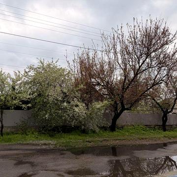 Прадам дім на вулиці Зраскова