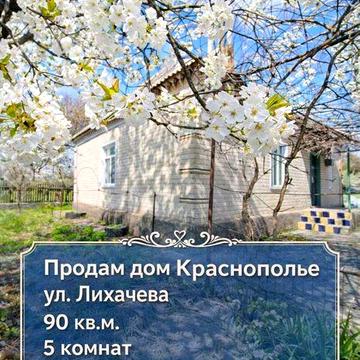 Продам Кирпичный Дом на 10 сотках в Краснополье