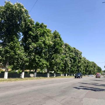 Столярчука вул., 48