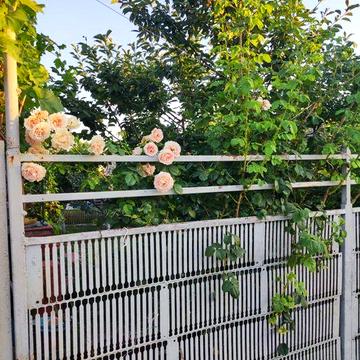 Дом дача очень классна возможна продажа по программе