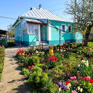 Продаж будинковолодіння в с.Петрівці Миргородського району