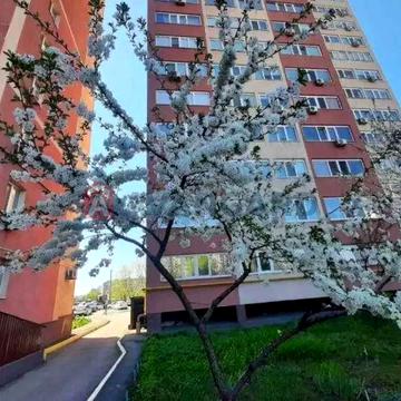 Велика Діївська вул., 24, Новокодацький, Дніпро, Дніпропетровська 65000.0 USD