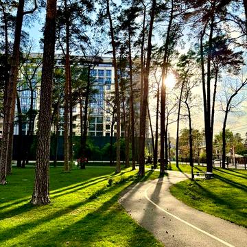 Продам простору двокімнатну квартиру в центрі з видом на парк Правика ЖК Роял парк