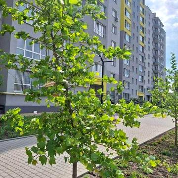 Продам  1 - кім. в новобуді вул. Ак.Янгеля