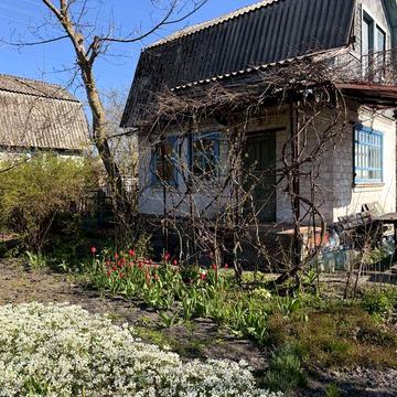 Дача в Жавиниці с/т Горизонт поряд р.Десна