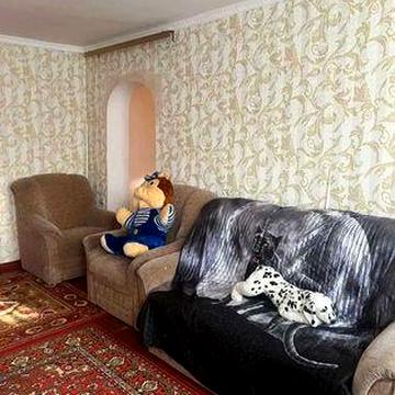 Великий будинок