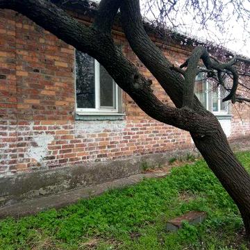 Продам отдельно стоящий дом в Харькове