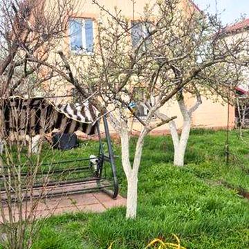 Оренда будинку на Осокорках (67 Садова)