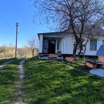 Цегляний будинок с. Макіївка Білоцерківський район Київська область