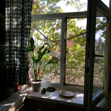 2-кімнатна Гданцівка/Гданцевка, вул.Чумацька, є-відновлення