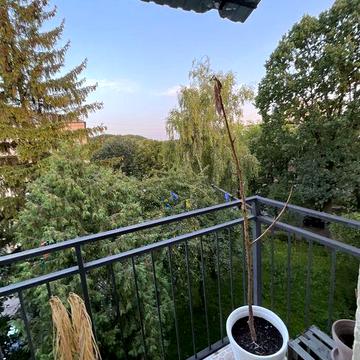 Оренда квартири 1 кімната + кухня студія , гарний ремонт та спокійний район. Квартира вільна та готова до заселення  !