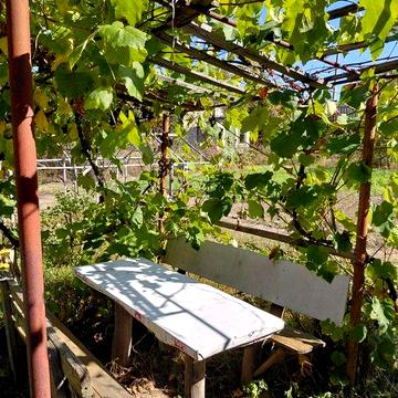 Продаж дачі,  СТ "За мир"