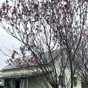 Сдам современный двухэтажный дом в селе Заря