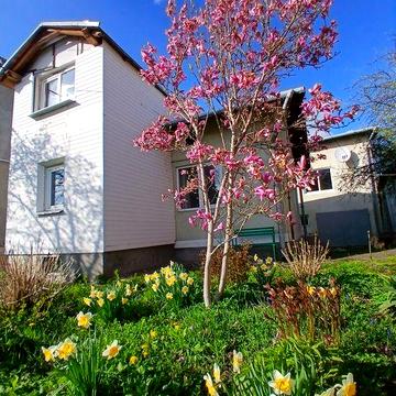 Продаж будинків в Дрогобичі