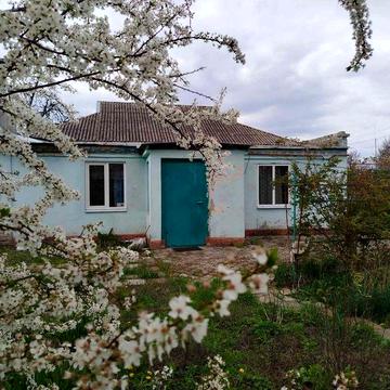 Продам будинок 81,9 м² в с. Топчине