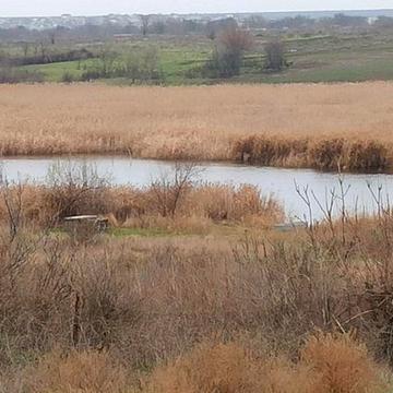 Продам будинок біля річки