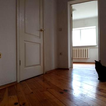 Аренда дома можно с животными Под жилье. Под приют